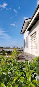 un bâtiment avec beaucoup de plantes vertes devant lui dans l'établissement Saya & Awak Tiny House, à Kota Bharu 13 autres photos