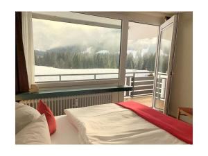 Gallery image of One-bedroom apartment in Balderschwang +16 photos