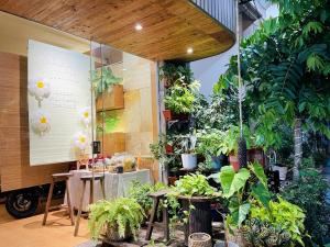 Taman di luar 5 homestay 3