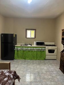 Kuchyň nebo kuchyňský kout v ubytování Double S Vacation Home