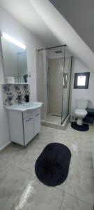 a bathroom with a sink and a shower and a toilet at Casa Elena in Ceahlău +26 photos