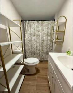 a small bathroom with a toilet and a sink at Central Tampa Hot Spot! in Tampa