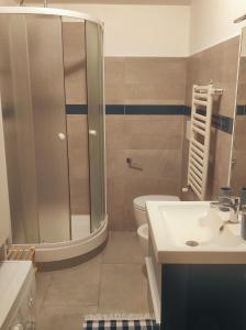 a bathroom with a shower and a toilet and a sink at La tana della Fenice in Labico
