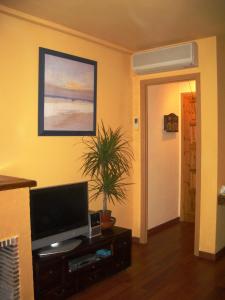 a living room with a television and a plant on a table at Sitges Beach Loft in Sitges