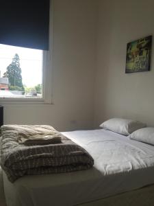 a bed in a bedroom with a window at Western Hotel Ballarat in Ballarat