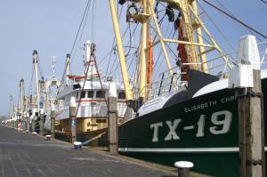 Fotografie z fotogalerie ubytování Havenhotel At Sea Texel v destinaci Oudeschild