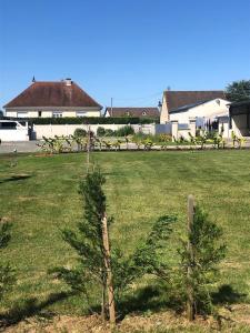 two trees in the middle of a field at House, lot, secure private parking in Issoudun