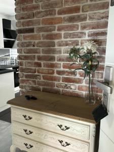 Køkken eller tekøkken på Apartament Piastowska 3