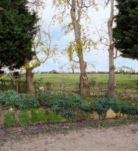 Zahrada ubytování Lovely 2 Bed Victorian Cottage, Denford NN14 + 21 fotografií