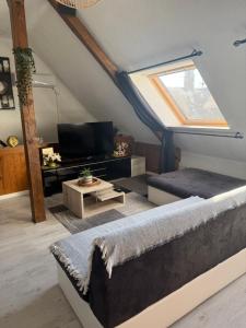 Μια τηλεόραση ή/και κέντρο ψυχαγωγίας στο L'Alcôve Alsacienne chaleureux avec chauffаge