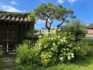 a bush of flowers in front of a tree at Yangsajae in Jeonju