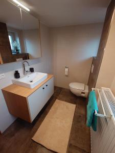 a bathroom with a sink and a toilet and a mirror at Ferienwohnung Kofler in Aurach am Hongar