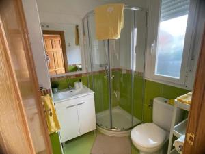 a bathroom with a shower and a toilet and a sink at Las Candelas, Casa Turística in Uruñuela +23 photos