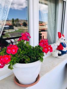 a flower pot sitting on a window sill with red flowers at 4 Seasons Suites Paradise Athens Airport in Markopoulo +37 photos