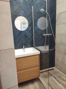 une salle de bain avec un lavabo et une douche dans l'établissement Gite Val des Cloches, à Tellin 21 autres photos