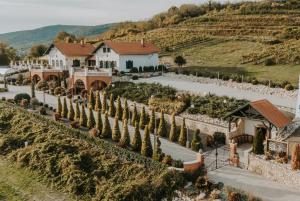 an aerial view of a house with a driveway and trees at Villa Serena in Siklós