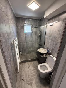 Ένα μπάνιο στο Apartamentul lui Radu