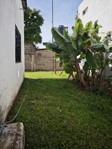 セレクンダにあるSpacious,quiet, great location - 'Galan Residence'の緑の庭