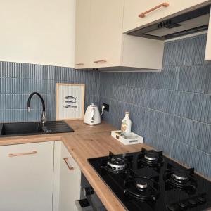 a kitchen with a stove and a counter top at Morski Spokój Kołobrzeg apartment in Kołobrzeg +8 photos