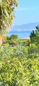 een veld van planten met de oceaan op de achtergrond bij Villa Carry Piscine Sauna Jacuzzi in Carry-le-Rouet