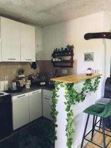 a kitchen with a counter with a green plant on it at Kuća za odmor ,,BREZA,, 