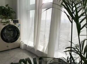 a window with a white curtain and a plant at Aisen Apartment Huainan Wanda Plaza Near City Center in Huainan