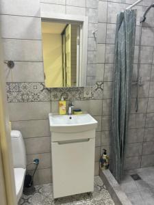 a bathroom with a sink and a mirror and a shower at Гагарина 119 in Dnipro