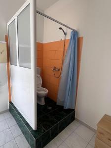 Darëzeza e ReVjosa River Rooms的带马桶和淋浴的浴室