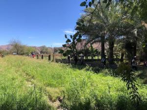 a field of grass with trees and people in the background at Villa Upgraded to 4BR Maid Reopening 1 Sep in Hatta