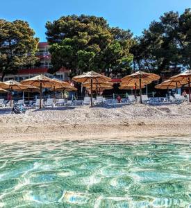 Φυσικό τοπίο κοντά σε αυτό το διαμέρισμα