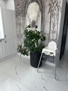 a chair and a plant in a room with a wall at Apartament Polli in Grudziądz
