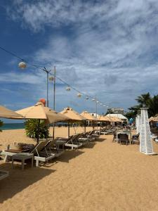 a beach with chairs and umbrellas on the sand at Casa Tartaruga in Unawatuna