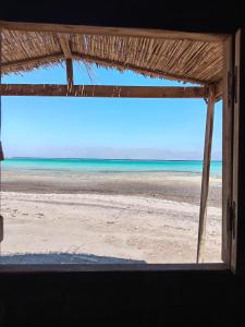 Φυσικό τοπίο κοντά σε αυτό το κάμπινγκ