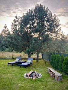 two chairs and a fire pit in a yard with a tree at Domek wakacyjny "Sosnowy Zakątek" in Stegers