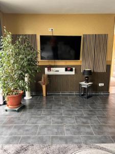 a living room with a flat screen tv and plants at Ferienwohnung "Im Herzen des Westerwalds" in Ettinghausen