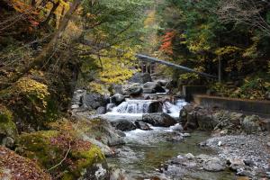 a stream in the middle of a forest at Vacation Rental あんばええ in Nakatsugawa