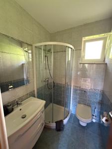 a bathroom with a shower and a sink and a toilet at Apartment Brumec in Bohinj