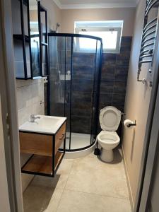 a bathroom with a shower and a toilet and a sink at Lodge in Wrocław