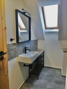 a bathroom with a sink and a mirror at Ubytování Pálava Perná in Perná