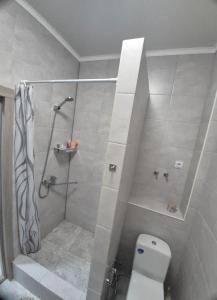 Et badeværelse på Zolotoj Bereg + 17 billeder