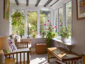 a room with windows with potted plants at Tom's Cottage in Dalton in Furness