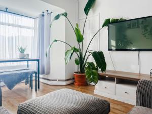 a living room with a potted plant and a tv at The Annex At Tenniside in Perranporth