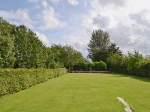 a large grassy yard with hedges and a sky at Hedgehog Meadows in Waverton +2 photos