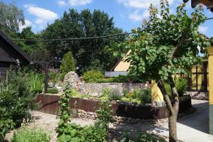 Zahrada ubytování Ferienhaus "Am Gutspark"