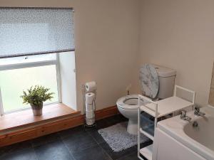 a bathroom with a toilet and a window and a sink at Typicca Farmhouse in Brechfa