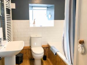 un bagno con un water, un lavandino e una finestra di Borrowdale Cottage a Brough
