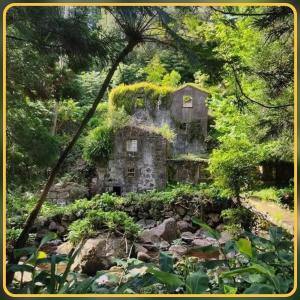 Gambar di galeri bagi Herdade das Hortênsias di Santo Antão +32 gambar
