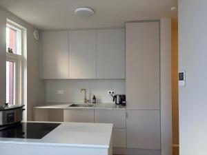 eine Küche mit weißen Schränken und einer Spüle in der Unterkunft JR apartments in Reykjavík + 3 Fotos