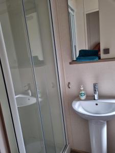 a bathroom with a shower and a sink at Bayview at Pengarreg in Llanrhystyd +38 photos