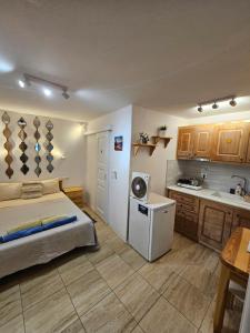 a bedroom with a bed and a small kitchen at Vanila Studio in Mýkonos City